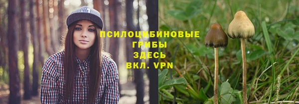 марки lsd Белокуриха