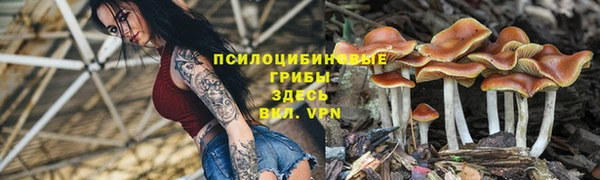 МДПВ Белоозёрский