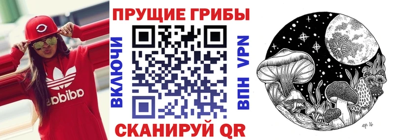 Галлюциногенные грибы Psilocybine cubensis Волжск